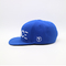 Ενήλικη επίπεδη πλαστική περάτωση 6 καπέλων Snapback χείλων μπλε χρώμα επιτροπών