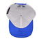 3D κεντήματα Snapback Μπέιζμπολ καπέλα Full Seasons καμπύλη οπτική επιφάνεια