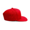 Συνήθεια 6 καπέλο Snapback επιτροπής/τρισδιάστατο λογότυπο Snapback ΚΑΠ κεντητικής