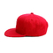 Συνήθεια 6 καπέλο Snapback επιτροπής/τρισδιάστατο λογότυπο Snapback ΚΑΠ κεντητικής