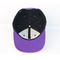 Επίπεδο λογότυπο ο επίπεδος Μπιλ ΚΑΠ συνήθειας καπέλων Snapback χείλων ενηλίκων με την πλαστική πόρπη