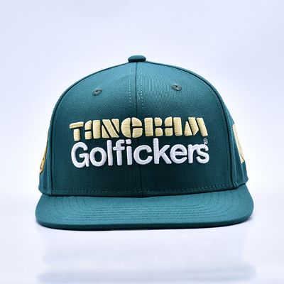 3D κεντήματα Λογικό Στυλάτα ποιότητα 6 πάνελ Snapback καπέλο καυτή πώληση