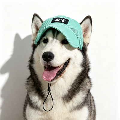 Εξωτερικό και εσωτερικό καπέλο για κατοικίδια ζώα κατάλληλο για μικρά σκυλιά Πακέτο περιλαμβάνει 1 x ρυθμιζόμενο ιμάντα για κατοικίδια ζώα για ασφαλή τοποθέτηση