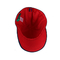 Εγκατεστημένα καπέλα των παιδιών ACE Headwear 6 καπέλα μόδας καπέλων του μπέιζμπολ επιτροπής